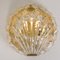 Golden Ice Glass Shell Wall Sconces from Kalmar, 1960s, Set of 2, Image 2