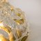 Golden Ice Glass Shell Wall Sconces from Kalmar, 1960s, Set of 2, Image 5