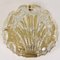 Golden Ice Glass Shell Wall Sconces from Kalmar, 1960s, Set of 2, Image 6