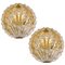 Golden Ice Glass Shell Wall Sconces from Kalmar, 1960s, Set of 2, Image 1