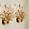 Large Crystal Gilded Brass Sconces by Oscar Torlasco for Stilkronen, Set of 2, Image 4