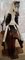 Cheval à Bascule Victorien de Taille Moyenne Antique 5