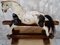 Antique Victorian Midsized Rocking Horse 9