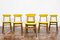 Dining Chairs from GFM, 1960s, Set of 6 17