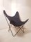 BKF Butterfly Lounge Chair attributed to Jorge Ferrari-Hardoy for Knoll Inc. / Knoll International, 1970s 1