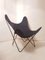 BKF Butterfly Lounge Chair by Jorge Ferrari-Hardoy for Knoll Inc. / Knoll International, 1970s 1