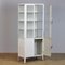 Vintage Glass and Iron Medical Cabinet, 1960s 7