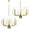 Large Glass Leaves Brass Chandelier by Carl Fagerlund for Orrefors, Set of 2 1