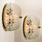 Bubble Flush Mount / Wall Sconce from Limburg, 1960s 2