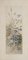 Unknown - Flowers - Original Etching on Paper - 19th Century 1