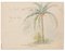 Unknown - Palm Tree - Original Watercolor - Late 20th Century 1