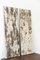 Large Edge Blue Birch Wall Panel with Moss and Lichen from Moya 2