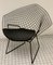 Mid-Century Vintage Modell Diamond 421 Stuhl mit Lederpolsterung von Harry Bertoia für Knoll Inc. / Knoll International 2