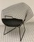 Silla modelo Diamond 421 Mid-Century con cojines de cuero de Harry Bertoia para Knoll Inc. / Knoll International, Imagen 2