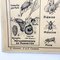 Vintage School Poster from Hatier, Insects and Fish, 1960s, Image 6