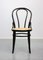 No. 18 Dark Brown Chairs by Michael Thonet, Set of 2 21