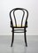 Chaises No. 18 Marron Foncé par Michael Thonet, Set de 2 20