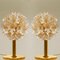 Brass and Gold Murano Glass Sputnik Light Fixtures by Paolo Venini for Veart, Set of 2 9