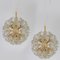 Brass and Gold Murano Glass Sputnik Light Fixtures by Paolo Venini for Veart, Set of 2 2