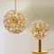 Brass and Gold Murano Glass Sputnik Light Fixtures by Paolo Venini for Veart, Set of 2 10