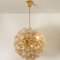 Brass and Gold Murano Glass Sputnik Light Fixtures by Paolo Venini for Veart, Set of 2 12