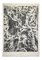 Jean Dubuffet - Organs Soil - from Water, Stones, Sand - Original Lithograph -1959, Image 1