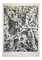 Jean Dubuffet - Organsoil - von Water, Stones, Sand - Original Lithographie -1959 1