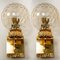 Gold-Plated Blown Glass Wall Lights in the style of Brotto, Set of 2 6
