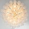 Tulipan Glass & Brass Flushmount Chandelier from Kalmar, 1960s 2