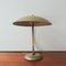 Mid-Century Table Lamp by Egon Hillebrand for Hillebrand Lighting, 1950s 5