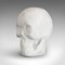 Vintage English White Marble Skull Paperweight, 1980s 9