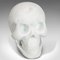 Vintage English White Marble Skull Paperweight, 1980s 4