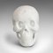 Vintage English White Marble Skull Paperweight, 1980s 10