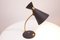 Mid-Century Modern Table Lamp with Black Shade, 1950s, Image 2