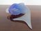 Italienische Murano Glas Fisch von Archimede Seguso für Murano, 1960er 10