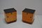 Mid-Century Czechoslovakian Bedside Tables, 1960s, Set of 2, Image 2