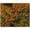 Ivy Lysdal, B. 1937, Acrilico su tela, Pittura modernista astratta, 2003, Immagine 1