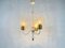 Mid-Century Brass and Glass Tulip Chandelier, 1960s 2