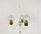 Mid-Century Brass and Glass Tulip Chandelier, 1960s 3