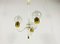 Mid-Century Brass and Glass Tulip Chandelier, 1960s 4