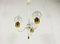 Mid-Century Brass and Glass Tulip Chandelier, 1960s, Image 4