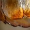 Amber Glass Flower Ceiling Lamp from AV Mazzega, Italy, Set of 2 4