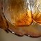 Amber Glass Flower Ceiling Lamp from AV Mazzega, Italy, Set of 2, Image 4
