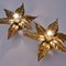 Large Brass Flower Wall Light in Style of Willy Daro, 1970s 6