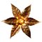 Large Brass Flower Wall Light in Style of Willy Daro, 1970s 1