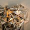 Faceted Crystal and Chrome Sconce by Kinkeldey, Germany, 1970s, Image 12