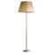 Giso Floor Lamp by Willem H. Gispen 1