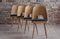 Dining Chairs by Oswald Haerdtl, 1950s, Set of 8, Image 3