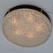 Large Flush Mount Glass Pendant / Wall Light by N. Leuchten, Image 2