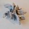 Abstract Sculpture in Chalk White Ceramic by Bryan Blow, Set of 3 10